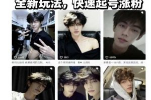 AI男颜涨粉短视频教学，全新玩法，快速起号涨粉