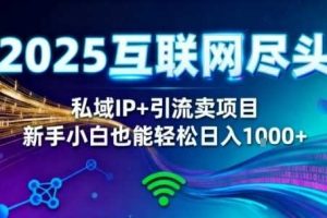 2025网创尽头王炸项目!私域IP+精准引流,新手小白在家躺賺日入1k,零经验也能上手【揭秘】