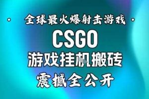 【年底大揭秘】基于全球最火爆的射击CSGO游戏挂G搬砖,日入5张+,震撼公开