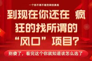 马上26年了，你还在找所谓的风口项目？别傻了，看完这个你全都懂了！【揭秘】