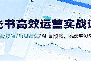 飞书高效运营实战课：日程/数据/项目管理/AI 自动化，系统学习提效