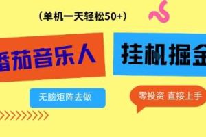 番茄音乐人挂G项目，多窗口去跑一天完稳定50+，零投资，简单无脑【揭秘】