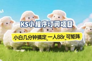 小程序订阅项目_小白几分钟搞定，一人88米，可矩阵（已测到账）