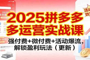 2025拼多多运营实战课:强付费+微付费+活动爆流,解锁盈利玩法(更新)
