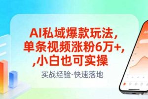AI私域爆款玩法，单条视频涨粉6W+，小白也可实操