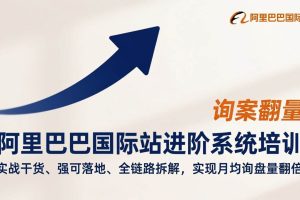 （17335期）阿里巴巴国际站进阶系统培训，实战干货、强可落地、全链路拆解，实现月均询盘量翻倍