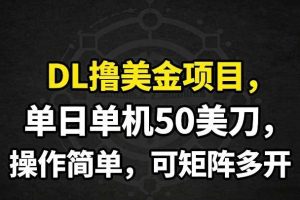 DL撸美金项目，单日单机50美刀，操作简单，可矩阵多开