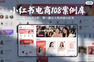 小红书电商108案例库,百W利润分析,带一部分人先冲进小红书【文档】