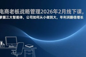 (17417期)电商老板战略管理2026年2月线下课,掌握三大智能体,公司如何从小做到大,年利润翻倍增长