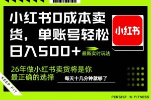 (17462期)小红书0成本AI卖货,单账号轻松日入500+,完全托管AI,可矩阵放大