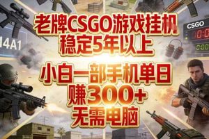 老牌CSGO游戏挂G,稳定5年以上,小白一部手机单日賺3张+,无需电脑【揭秘】