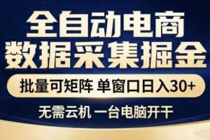 独家电商数据全自动采集项目，批量可矩阵，单窗口轻松日入3张+【揭秘】