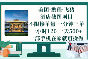 (17584期)美团、携程、飞猪截图项目,一部手机在家做,不限接单量,一分钟三单,一小时120,一天500+ 项目介绍
