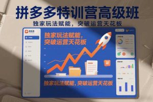 拼多多特训营高阶班，独家玩法赋能，突破运营天花板（更新26年3月19日）