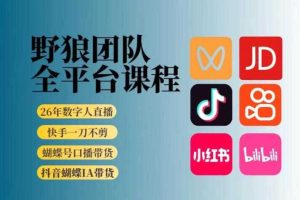 野狼团队2026新版全平台短视频带货教学,打开流量突破口,开始Ai带货(更新26年3月)