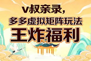 v叔亲录，多多虚拟矩阵玩法，王炸福利限时领取