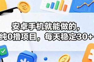安卓手机就能做的,纯0撸项目,每天稳定30+