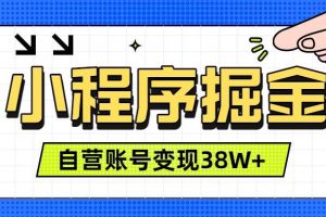 (19315期)微信小程序掘金,团队自营小程序累计变现38W+,稳定运营三年,一部手机即可操作