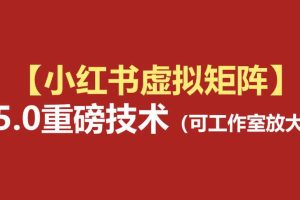 小红书虚拟矩阵5.0:AI原创虚拟品+4带1自动化AI发笔记+测款怼款双模式(可工作室放大)