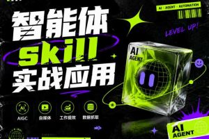 智能体skill实战应用,为寻求利用智能体进行工作提效的人打造,案例演示,纯实战课