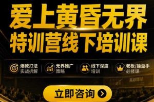 爱上黄昏无界特训营AI推广实战7月27-30杭州线下课，AI落地淘宝最完整的课程，学天猫淘宝的老板必看