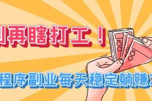 （19736期）别再瞎打工！小程序副业每天稳定躺赚200+