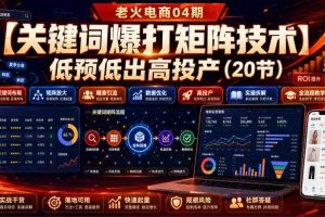 老火电商04期：【关键词爆打矩阵技术】低预低出高投产（20节）
