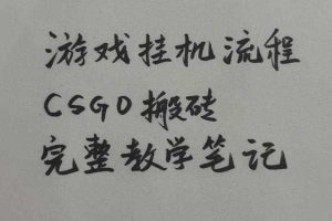 游戏挂G全流程笔记分享,CSGO游戏搬砖,小白看了当天学会见收益【揭秘】