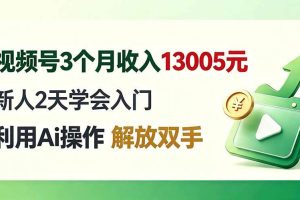 (19807期)视频号3个月收入13005元, 新人2天学会入门, 利用Ai操作 解放双手!