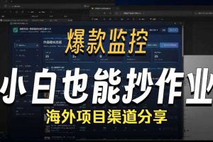 抖音爆款数据监控工具_海外网盘拉新渠道