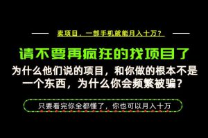 为什么做项目的人大多都是炮灰?为什么只有卖项目才能稳?看完你也可以月入10W+【揭秘】