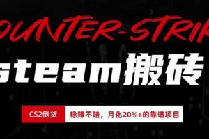 （19918期）steam搬砖，倒卖cs2饰品，达到月化20%+的收益，真正的靠谱可落地长期项目