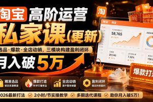 （19906期）淘宝高阶运营私家课（更新26年）：选品、爆款、全店动销，三模块构建盈利闭环，月入破5万