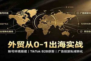 外贸从0-1出海实战:账号环境搭建,TikTok B2B获客,广告投放私域转化