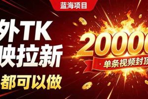 (19994期)海外TK拉新新玩法,剪映就能做,不用经验不用粉丝,单条视频收益上限20000+