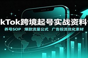 TikTok跨境起号实战资料包：养号SOP，爆款流量公式，广告投流优化素材