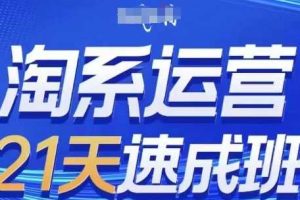 淘系运营21天速成班，0基础轻松搞定淘系运营，不做假把式，快速复制落地(更新26年8月)