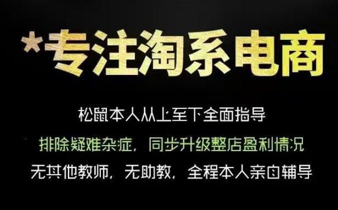 松鼠会电商VIP课程，从基础布局到高阶优化，助你掌握淘宝运营逻辑，提升店铺流量与转化（更新0901）