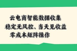 (20197期)云电商智能数据收集,稳定无风控,当天见收益,零成本矩阵操作