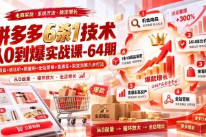 （20315期）拼多多6杀1技术从0到爆实战课-64期：机会商品+防比价+限量购+全站营销+直通车+裂变完整六步打法