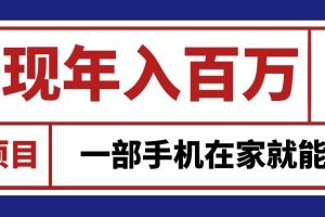 通过网创平台“卖项目”实现年入百万,一部手机在家就能做!