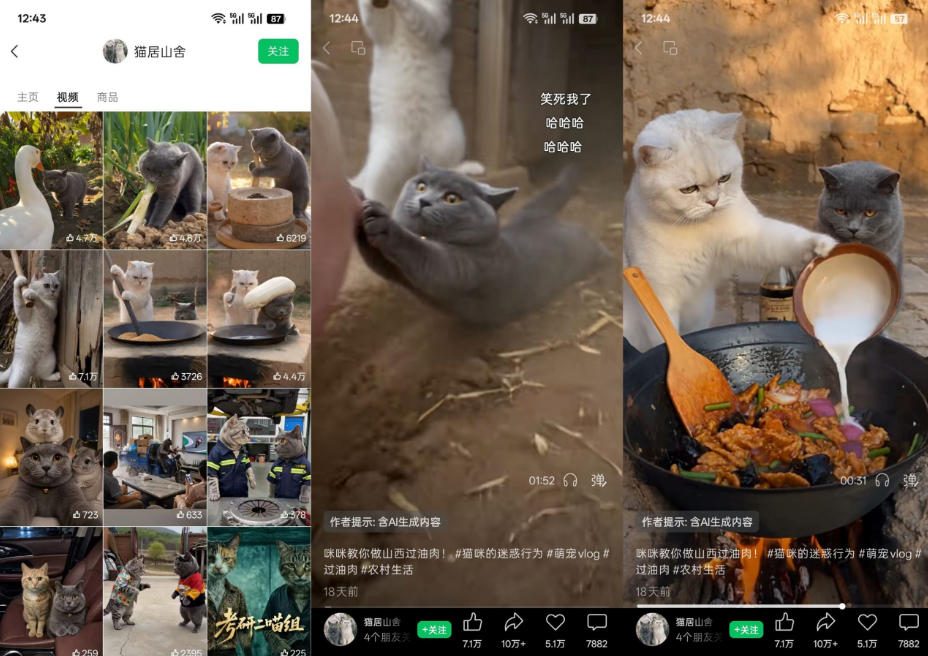 猫咪慢生活短视频教学,AI搞笑萌宠赛道,视频号分成+精选独家+伙伴计划+商单收徒等多种变现方式