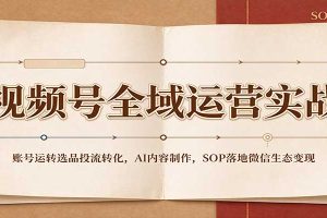 视频号全域运营实战：账号运转选品投流转化，AI内容制作，SOP落地微信生态变现