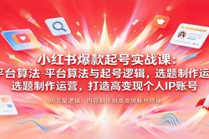 小红书爆款起号实战课:平台算法与起号逻辑,选题制作运营,打造高变现个人IP账号
