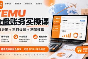 TEMU全盘账务实操课|账单导出+科目设置+利润核算,跨境卖家做账全教学,吃透TEMU平台账务
