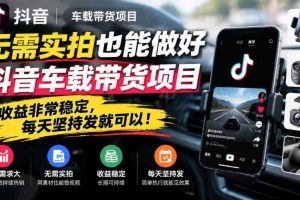 无需实拍也能做好抖音车载带货项目,收益非常稳定,每天坚持发就可以!
