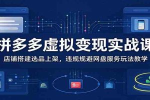 拼多多虚拟变现实战课：店铺搭建选品上架，违规规避网盘服务玩法教学
