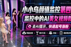 小小鸟颜值监控第四期，监控中的AI美女视频教学，去AI提示，快速起号涨粉，网盘拉新+商K引流+收徒+商单等多种收益