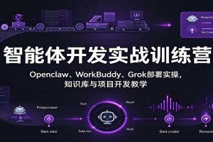 智能体开发实战训练营：Openclaw、WorkBuddy、Grok部署实操，知识库与项目开发教学